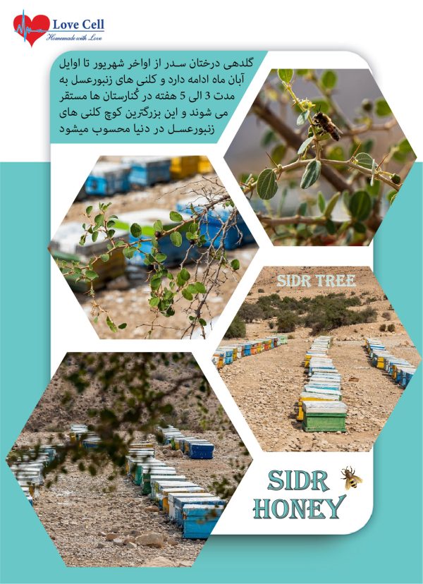 Pure Sidr Honey 400 gr - تصویر 4